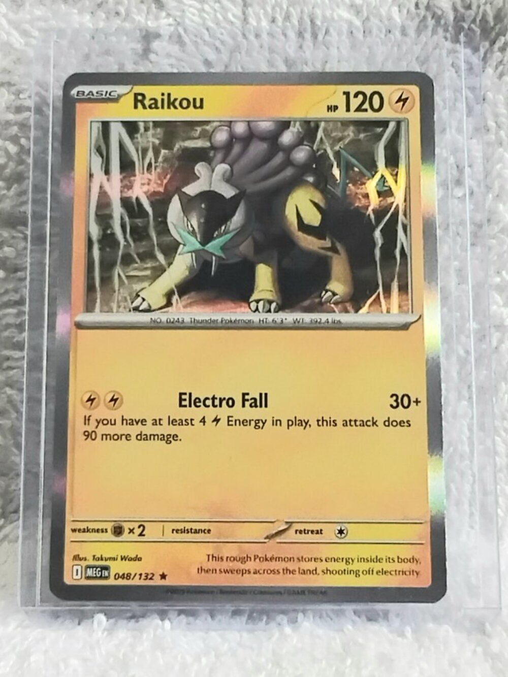 Mint 2025 Pokemon Raikou Rare ☆ Holo Card 048/132!!